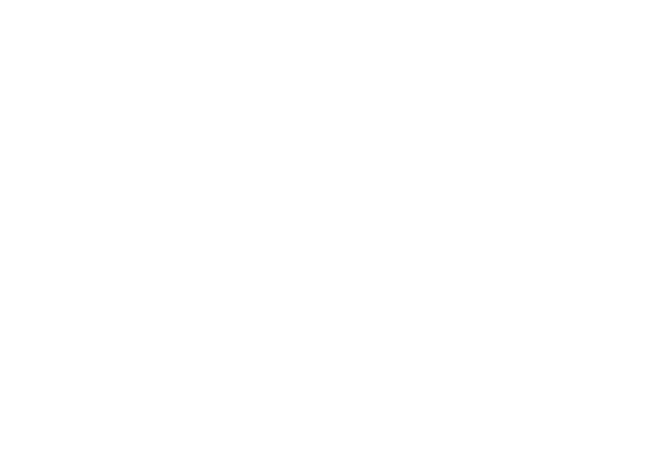 Vox
